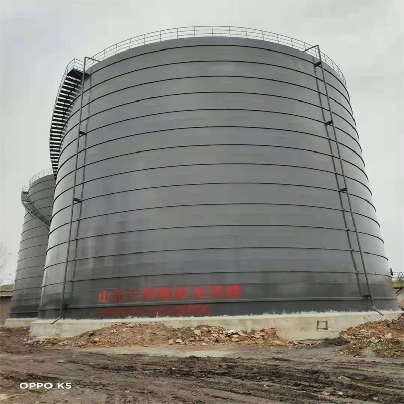 岭东3万吨大型钢板库