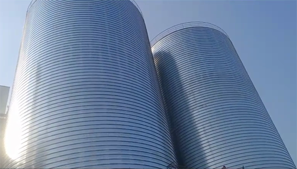 岭东2座混凝土高架卷板仓